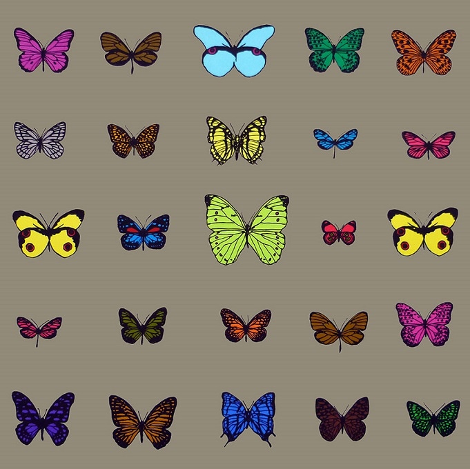 25 Butterflies
